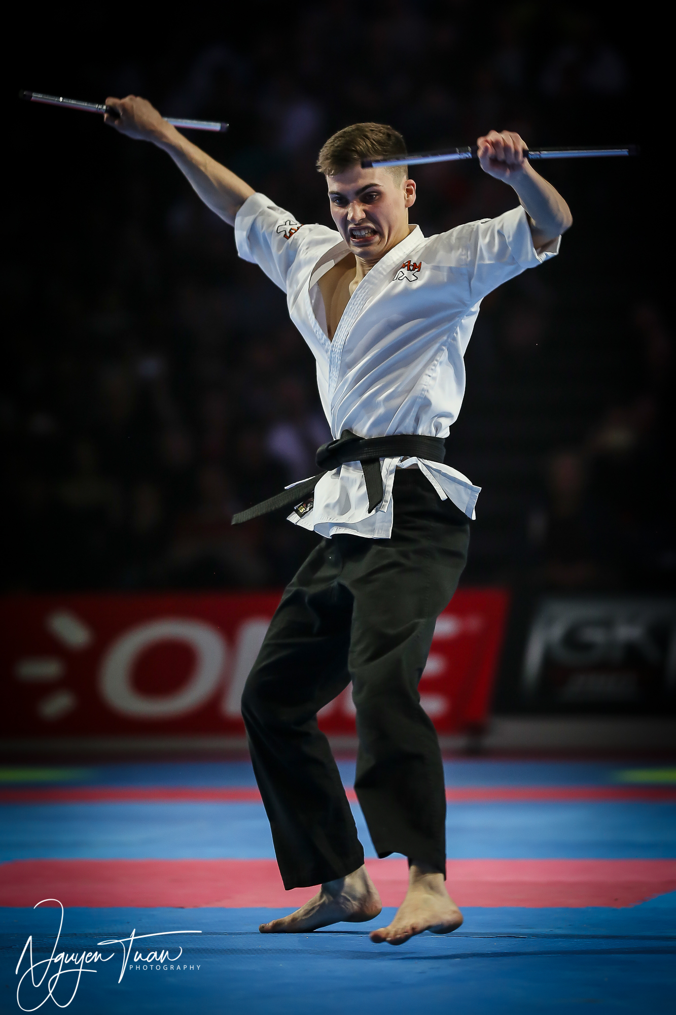 20190324 Festival des Arts Martiaux 4693